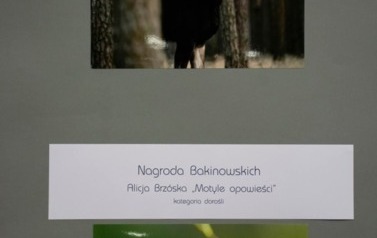 FB_IMG_1765287856111