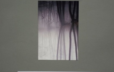 FB_IMG_1765287846160