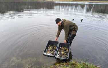 4f6648ba-35a8-4c25-9be2-1ca8eb582024