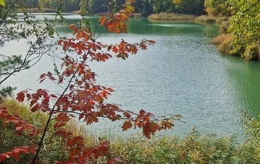 IMG-20261014-WA0135