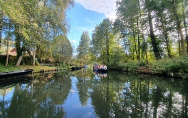 IMG-20261013-WA0048