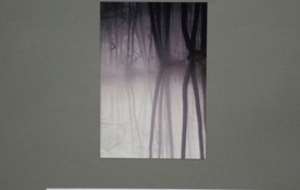 FB_IMG_1765287846160