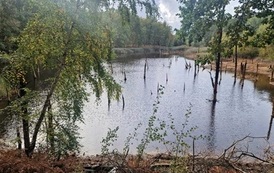 IMG-20261014-WA0132