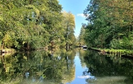IMG-20261013-WA0050