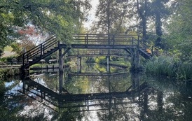 IMG-20261013-WA0045